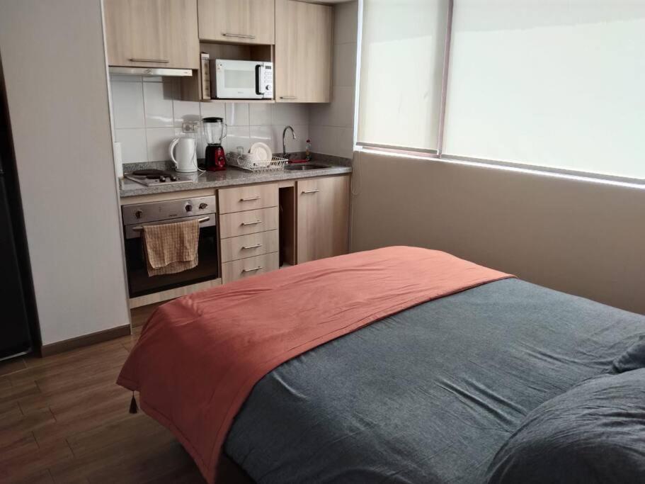 Апартаменты Departamento Nuevo Tipo Estudio En Pleno Centro -8 Консепсьон Экстерьер фото