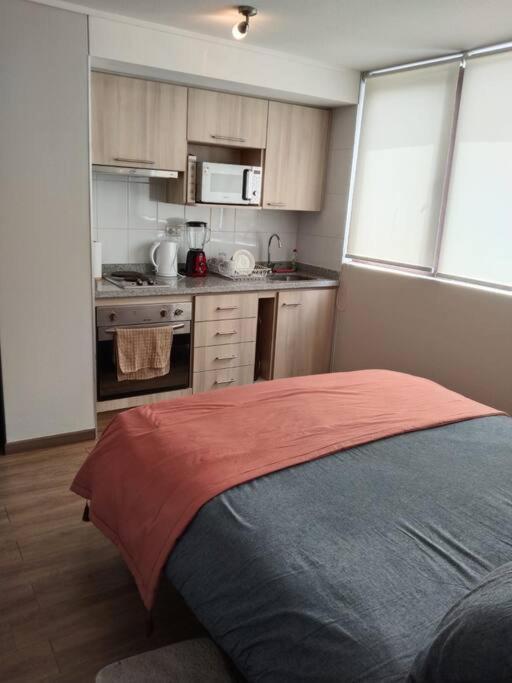 Апартаменты Departamento Nuevo Tipo Estudio En Pleno Centro -8 Консепсьон Экстерьер фото