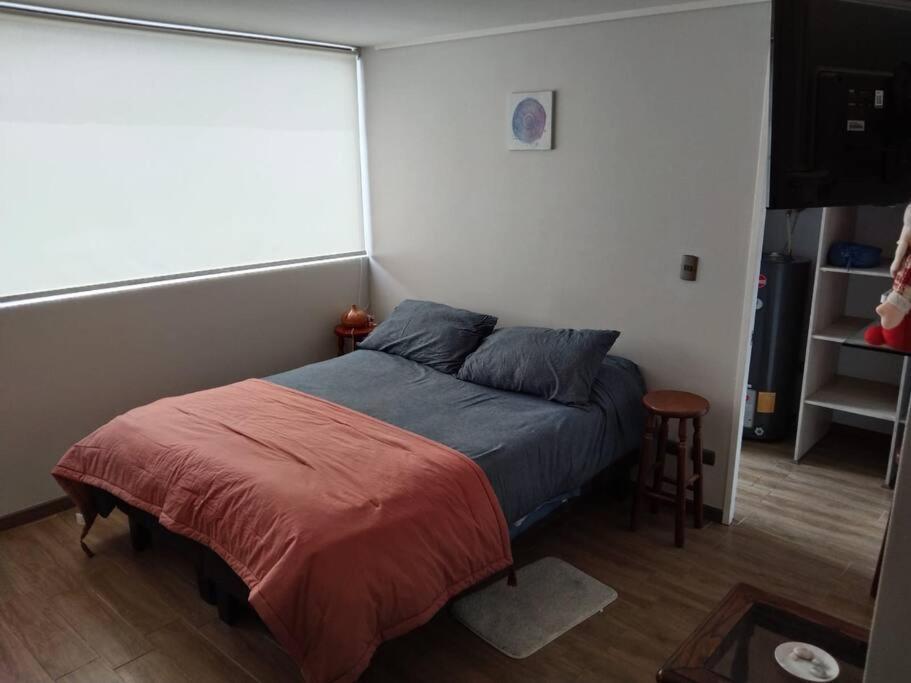 Апартаменты Departamento Nuevo Tipo Estudio En Pleno Centro -8 Консепсьон Экстерьер фото