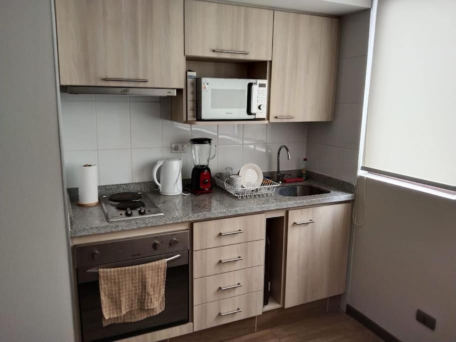 Апартаменты Departamento Nuevo Tipo Estudio En Pleno Centro -8 Консепсьон Экстерьер фото