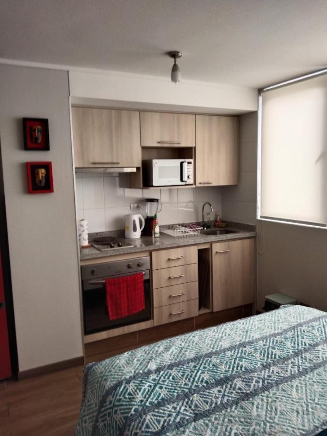 Апартаменты Departamento Nuevo Tipo Estudio En Pleno Centro -8 Консепсьон Экстерьер фото