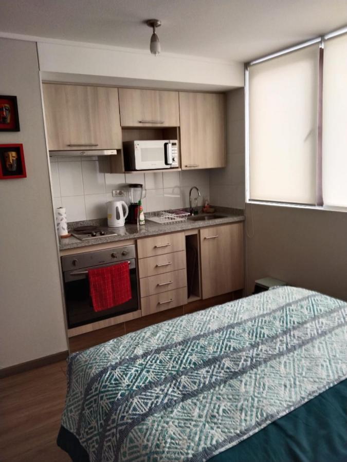 Апартаменты Departamento Nuevo Tipo Estudio En Pleno Centro -8 Консепсьон Экстерьер фото